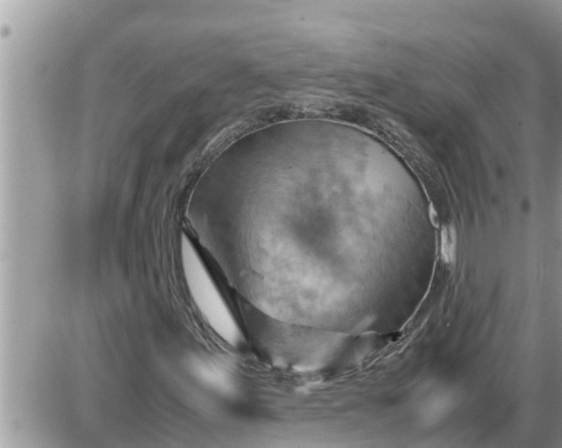 X0000087401155200705042028