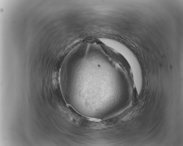 X0000087401156200705042028