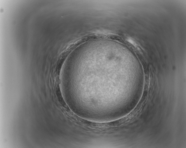 X0000087401157200705042028