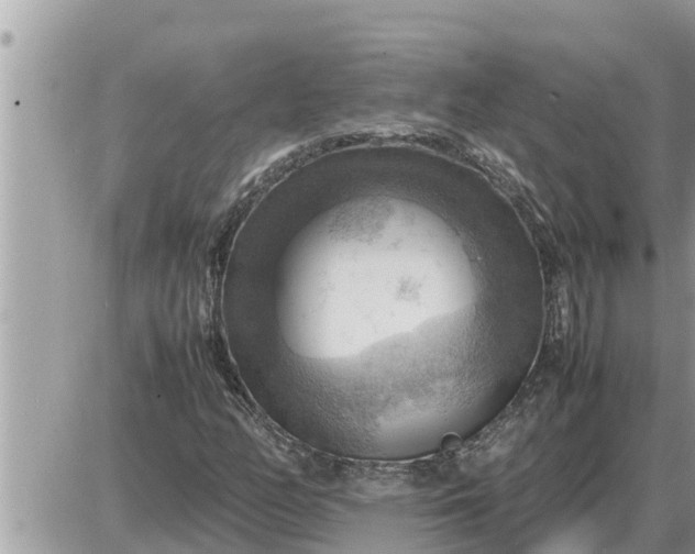 X0000087401158200705042028