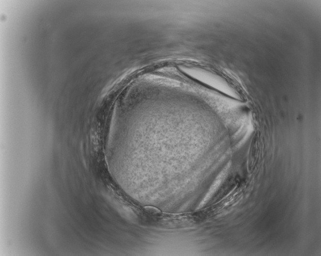 X0000087401159200705042028