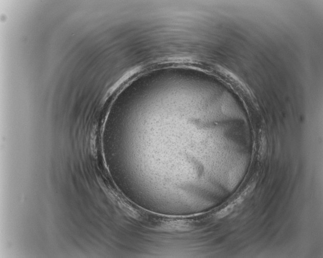 X0000087401162200705042028