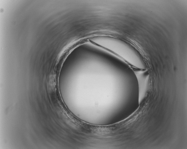 X0000087401164200705042028