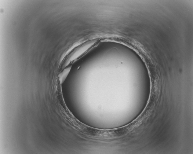 X0000087401165200705042028