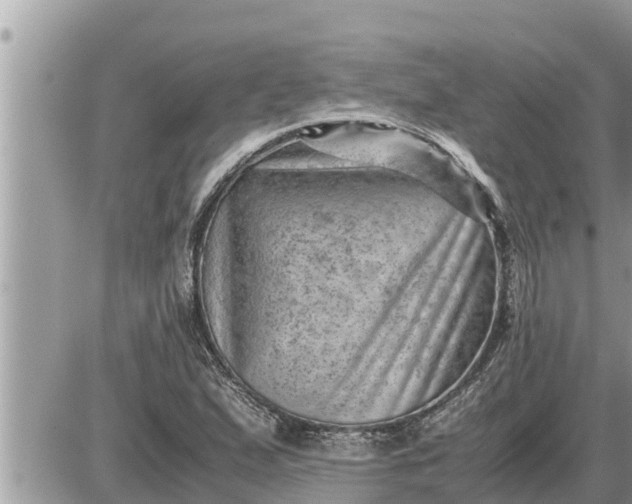 X0000087401167200705042028