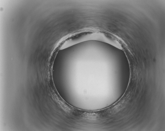 X0000087401168200705042028