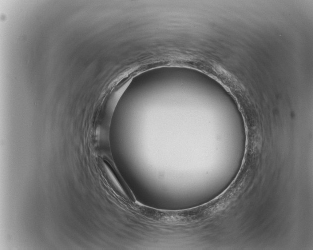 X0000087401169200705042028