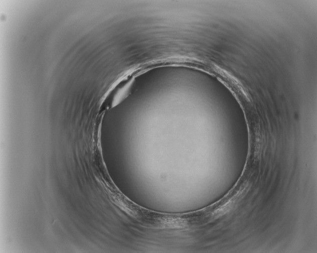 X0000087401170200705042028