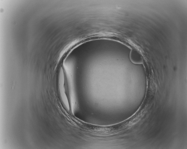 X0000087401171200705042028