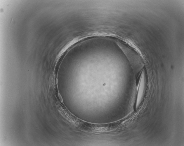 X0000087401173200705042028