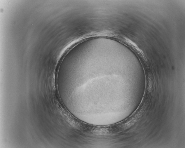 X0000087401174200705042028