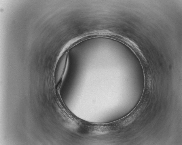 X0000087401176200705042028