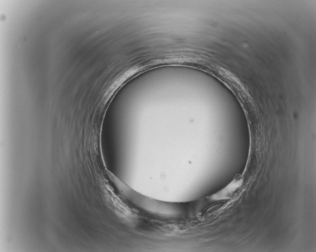 X0000087401177200705042028