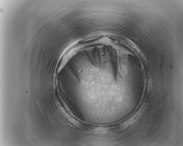 X0000087401178200705042028