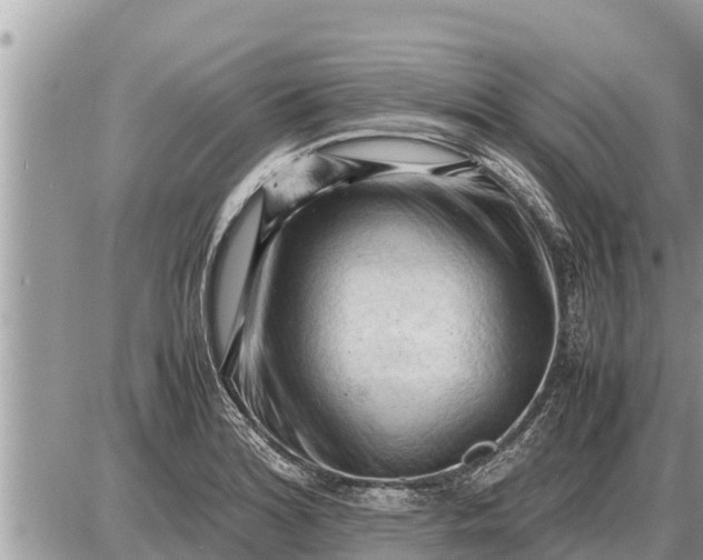 X0000087401180200705042028