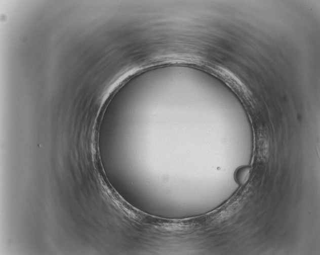 X0000087401182200705042028