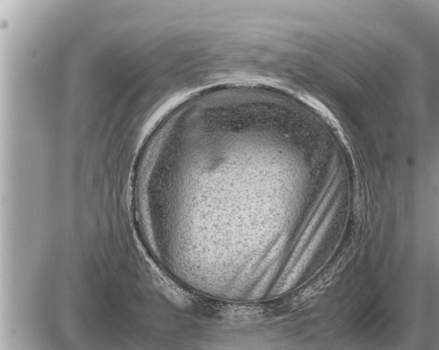 X0000087401183200705042028