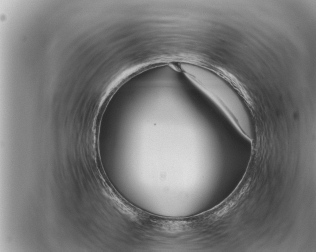 X0000087401184200705042028