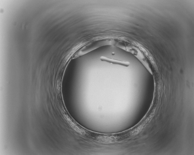 X0000087401185200705042028