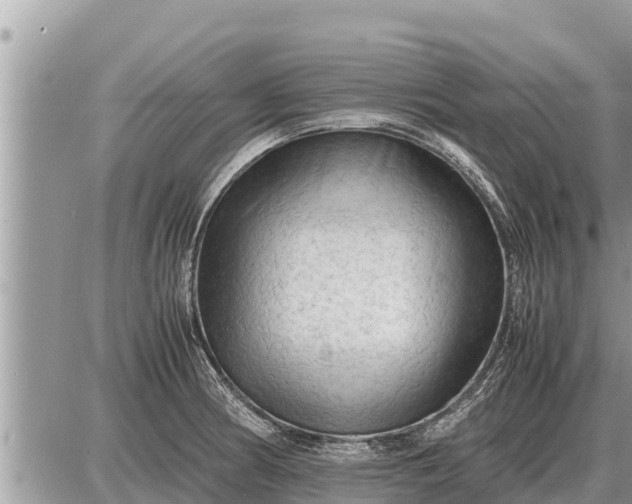 X0000087401186200705042028