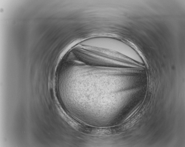 X0000087401187200705042028