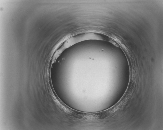 X0000087401189200705042028