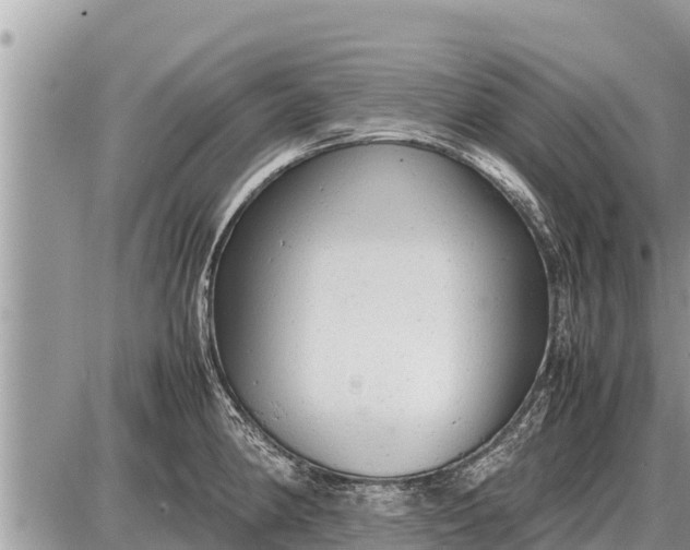 X0000087401190200705042028