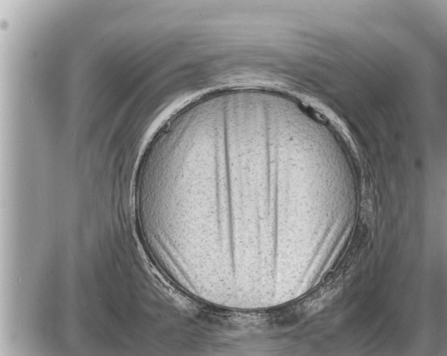 X0000087401191200705042028