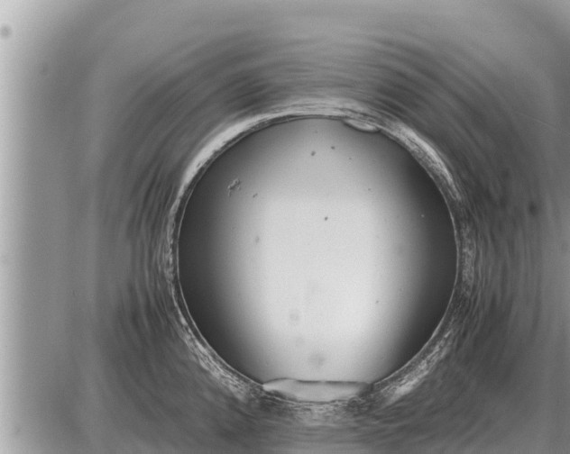 X0000087401192200705042028