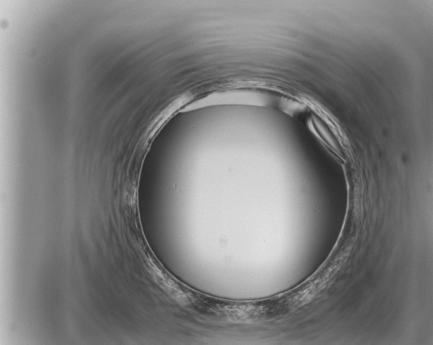 X0000087401193200705042028