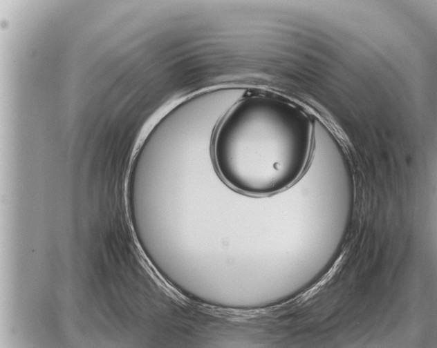 X0000087401196200705042027