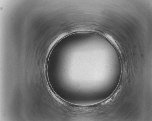 X0000087401197200705042027