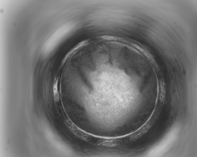 X0000087401198200705042027