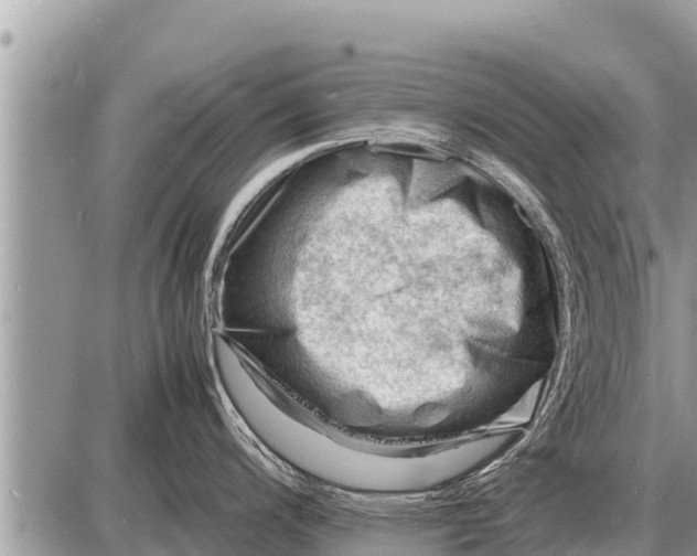 X0000087401200200705042027