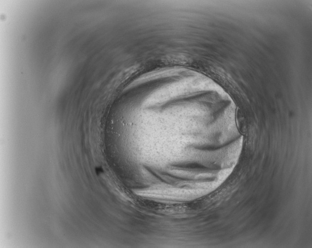 X0000087401201200705042027