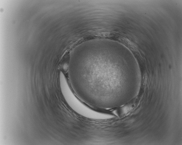 X0000087401202200705042027