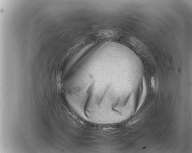 X0000087401203200705042027