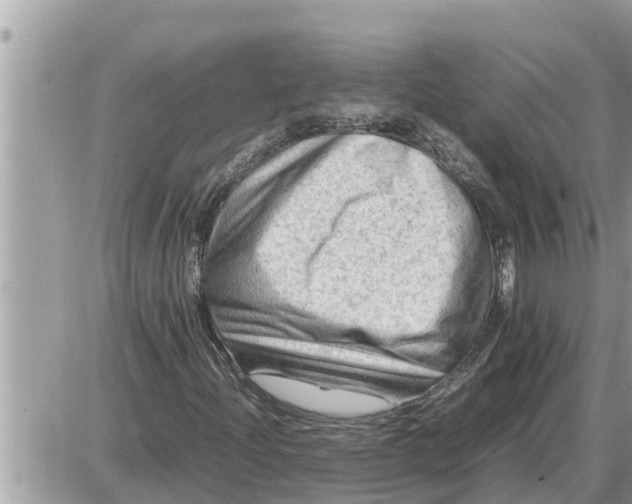 X0000087401204200705042027