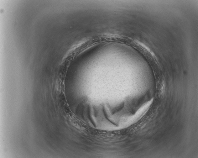 X0000087401207200705042027