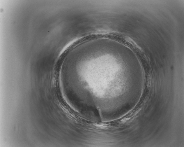 X0000087401208200705042027