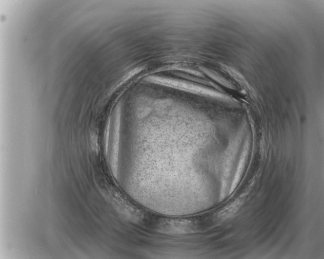 X0000087401209200705042027