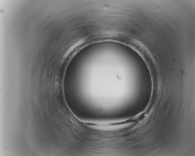 X0000087401210200705042027