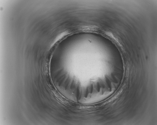 X0000087401211200705042027