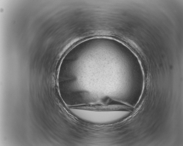 X0000087401212200705042027