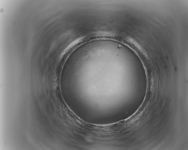 X0000087401213200705042027