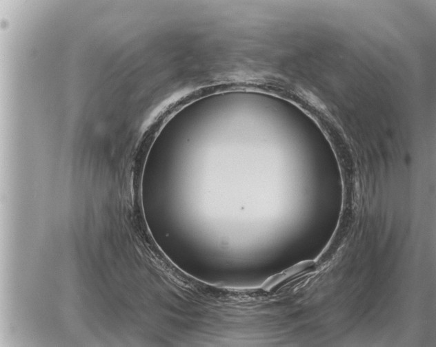 X0000087401214200705042027