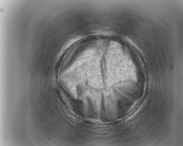 X0000087401215200705042027