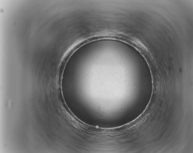 X0000087401216200705042027