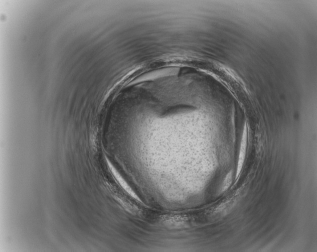 X0000087401217200705042027