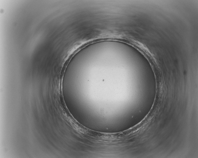 X0000087401220200705042027